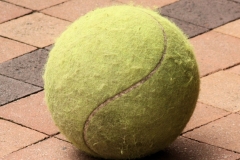 Fred-Decovsky-A-Tennis-Ball-April-2026-Digital-Color-Advanced-Award Fred-Decovsky-A-Tennis-Ball-April-2026-Digital-Color-Advanced-Award