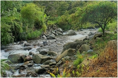 Ira-Brodsky-Mountain-Stream-with-Rapids-Sept-2025-Digital-Color-Open-Advanced-Award