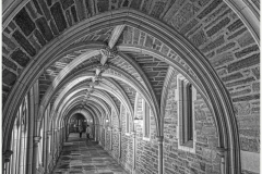 Jerome-Steiner-HALLWAY-IN-BW-Sept-2025-Digital-Mono-Open-Advanced-Award