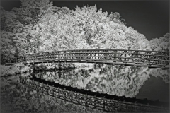 Jerome-Steiner-REFLECTIONS-Nov-2025-Digital-Mono-Reflections-Advanced-Award