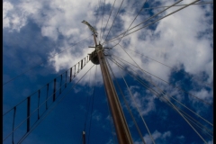 Jim-Kochis-Looking-Up-Oct-2025-Digital-Color-Open-Advanced-Award