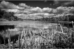 Peter-Turai-Colliers-Mills-Pond-in-Mono-Dec-2025-Digital-Mono-Open-Advanced-103