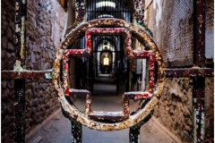 Peter-Turai-Not-Accepting-New-Patients-Feb-2026-Digital-Color-Theme-Abandon-or-Forgotten-Advanced-Award