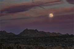 Richard-Eichel-Moonrise-over-Joshua-Tree-Mar-2026-Digital-Color-Open-Advanced-Medal