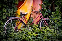 Robert-Kaye-hardly-used-Dec-2025-Digital-Color-Open-Advanced-Award