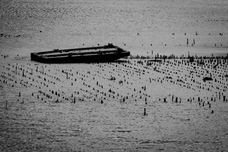 Brian-OLeary-Hard-Aground-Feb-2026-Digital-Mono-Theme-Abandon-or-Forgotten-Beginner-1st-Place