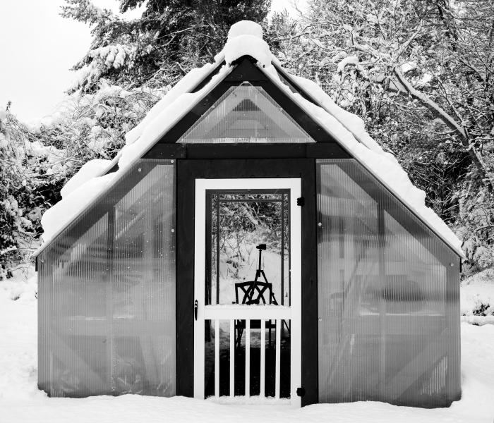 Corey-Chong-First-snow-Jan-2026-Digital-Mono-Open-Beginner-1st-Place