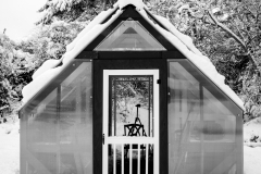 Corey-Chong-First-snow-Jan-2026-Digital-Mono-Open-Beginner-1st-Place