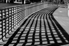 Corey-Chong-run-way-May-2026-Digital-Mono-Theme-Shadows-Beginner-Award