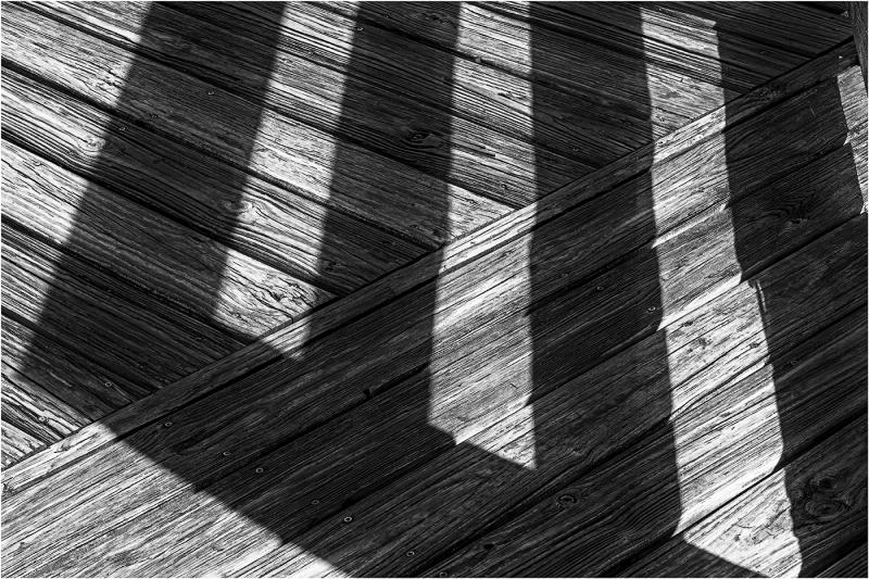 Alan-Bogard-Against-the-Grain-May-2026-Digital-Mono-Theme-Shadows-Master-2nd-Place