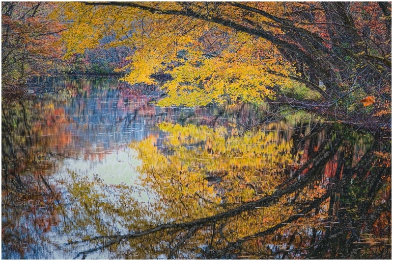 Alan-Bogard-Framed-Nov-2025-Digital-Color-Reflections-Master-Award