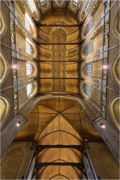 Alan-Bogard-Looking-Up-Dec-2025-Digital-Color-Open-Master-Award