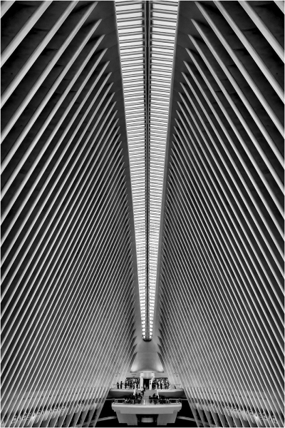 Alan-Bogard-Oculus-April-2026-Digital-Mono-Master-Award
