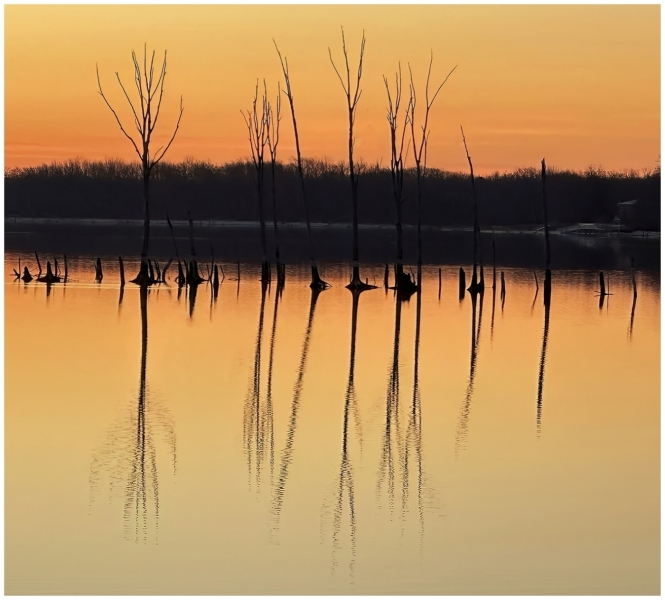 Bob-Dowd-A-New-Day-Begins-Dec-2025-Digital-Color-Open-Master-Award