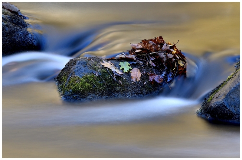 Bob-Dowd-Autumn-Rhythms-Dec-2025-Digital-Color-Open-Master-Award