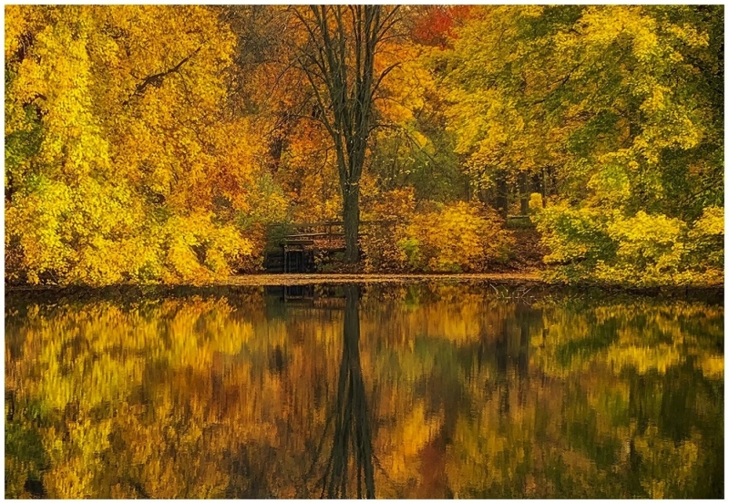 Bob-Dowd-On-Golden-Pond-Nov-2025-Digital-Color-Reflections-Master-3rd-Place