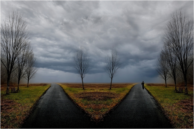 Bob-Dowd-The-Road-Less-Traveled-Mar-2026-Digital-Color-Open-Master-1st-Place