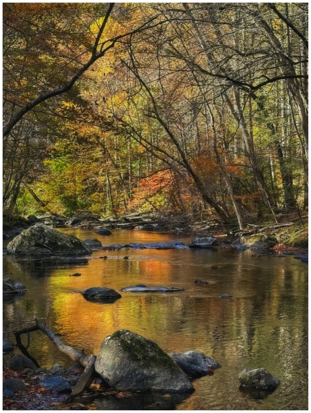 Bob-Dowd-Whispers-of-Autumn-Oct-2025-Digital-Color-Open-Master-1st-Place