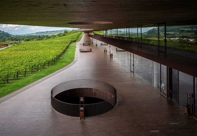 Bogumil-Kozera-Antinori-Vineyard-Sept-2025-Digital-Color-Open-Master-3rd-Place