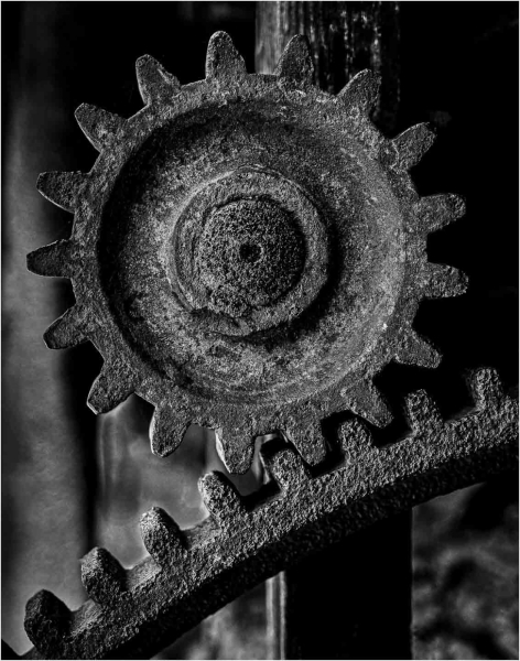 Bogumil-Kozera-Teeth-of-Time-Mar-2026-Digital-Mono-Open-Master-2nd-Place