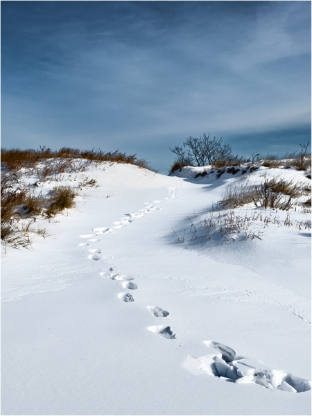 Gary-Slawsky-Footsteps-To-The-Beach-In-Winter-Mar-2026-Digital-Color-Open-Master-Medal