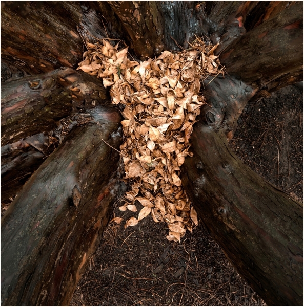 Gary-Slawsky-Gathering-At-The-Intersection-Jan-2026-Digital-Color-Open-Master-Award