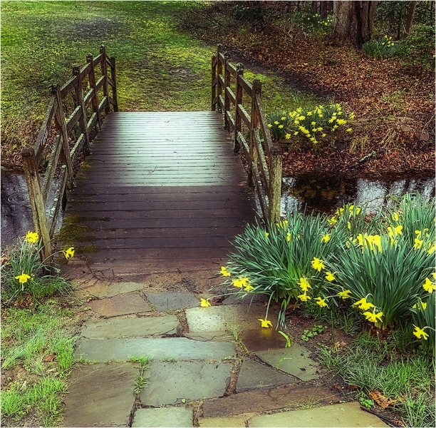 Gary-Slawsky-Park-Footbridge-In-Early-Spring-Sept-2025-Digital-Color-Open-Master-Award