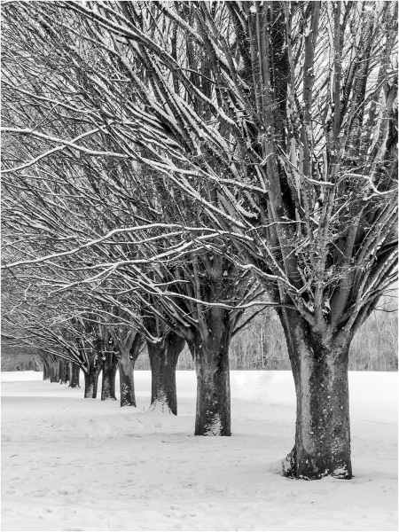 Gary-Slawsky-The-Beauty-Of-Winter-Order-Mar-2026-Digital-Mono-Open-Master-Medal