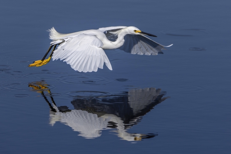 Jerry-Deutsch-Golden-Slippers-Oct-2025-Digital-Color-Open-Master-Award