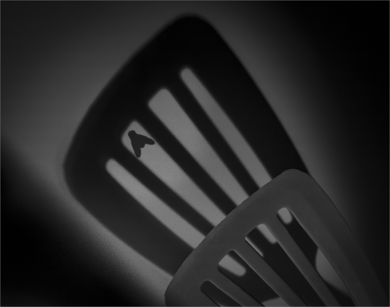 Joe-Ferraro-Missed-May-2026-Digital-Mono-Theme-Shadows-Master-3rd-Place