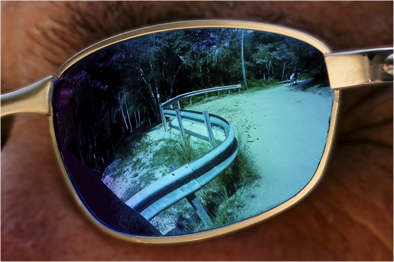 Joel-Goldberg-Looking-thru-the-shades-Nov-2025-Digital-Color-Reflections-Master-Medal