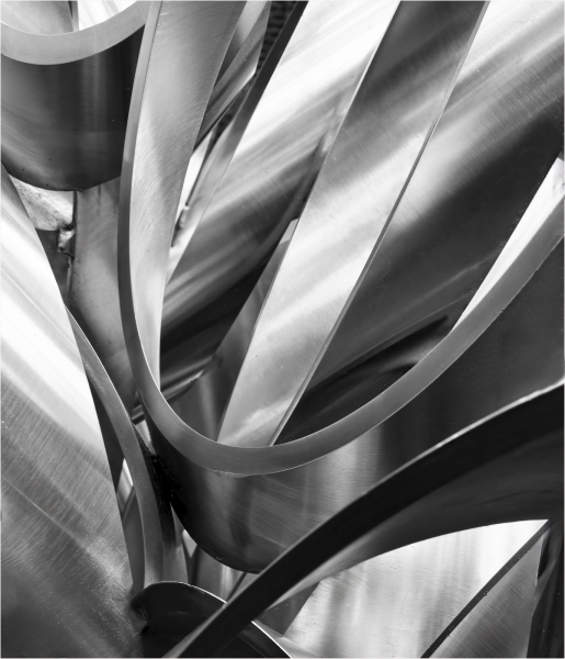 Joel-Goldberg-Twisted-shapes-and-tones-Jan-2026-Digital-Mono-Open-Master-Award