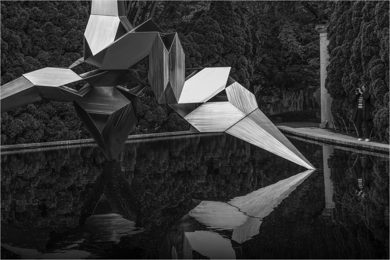 Lilia-Maloratskiy-Symmetry-in-Steel-and-Shadow-Nov-2025-Digital-Mono-Reflections-Master-Award