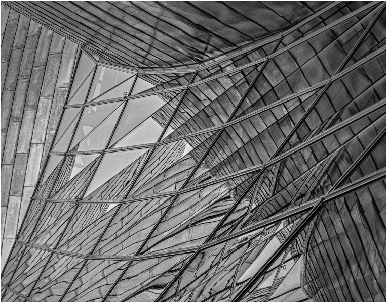 Marilyn Baldi-Gehry Suspended Ceiling-April 2026-Digital Mono Master 1st Place