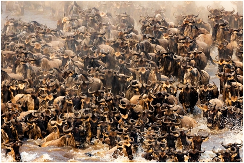 Mark-Schwartz-Crossing-the-Mara-River-Oct-2025-Digital-Color-Open-Master-3rd-Place