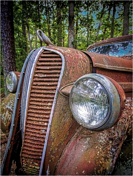 Rich-Despins-Perched-Hood-Ornament-Feb-2026-Digital-Color-Theme-Abandon-or-Forgotten-Master-Award