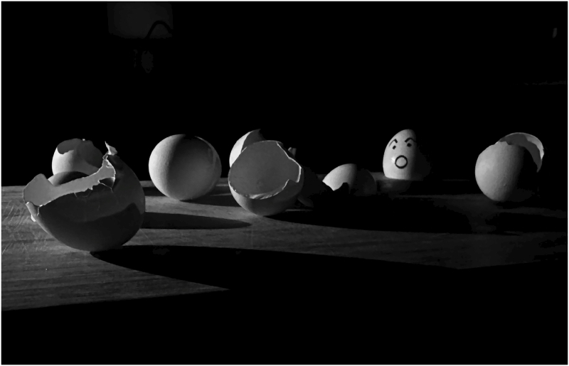 Susan-Boston-Breakfast-Carnage-Jan-2026-Digital-Mono-Open-Master-2nd-Place