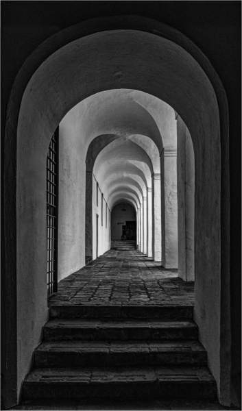 Thomas-Camal-Hard-and-Soft-Oct-2025-Digital-Mono-Open-Master-Award