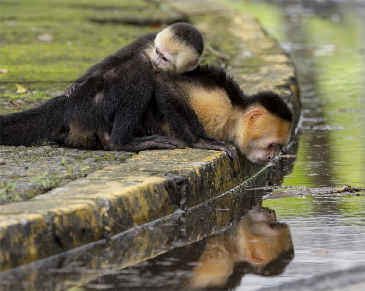 Thomas-Camal-I-got-your-back-mom-Nov-2025-Digital-Color-Reflections-Master-2nd-Place