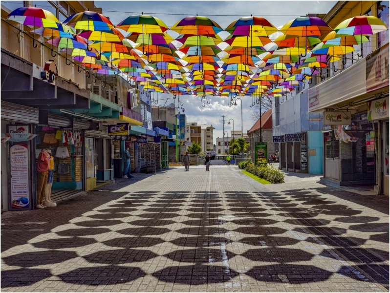 Thomas-Camal-Its-Not-just-for-rain-May-2026-Digital-Color-Theme-Shadows-Master-Award