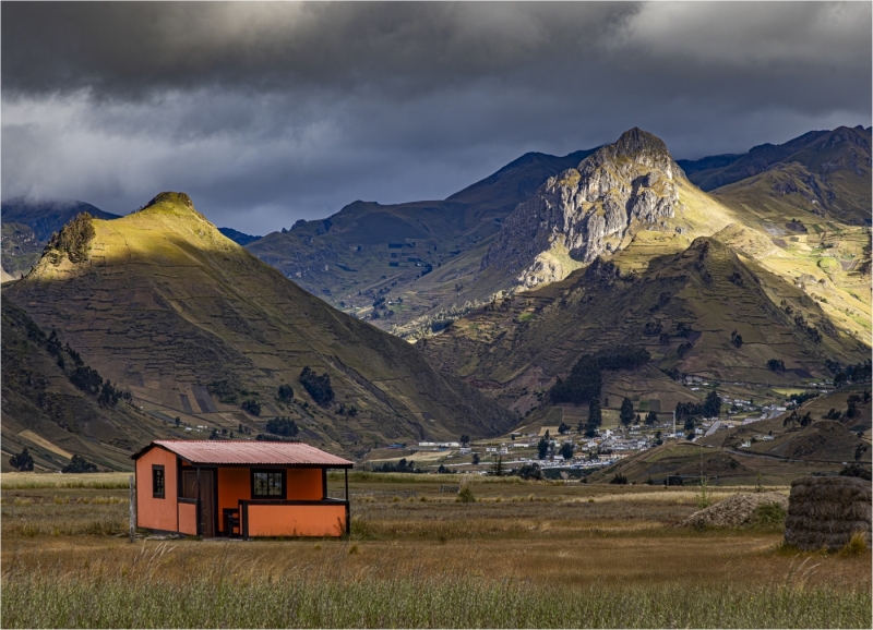 Thomas-Camal-The-Anies-of-Ecuador-Sept-2025-Digital-Color-Open-Master-Award