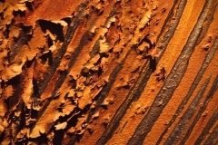 Barry-Goldberg-Aged-Fire-Mar-2026-Digital-Color-Open-Salon-Medal