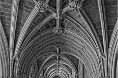 Joel-Eisenberg-Amazing-Ceiling-in-Rockefeller-Hall-Dec-2025-Digital-Mono-Open-Salon-103