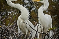Joel-Eisenberg-Are-You-Listening-to-Me_-Dec-2025-Digital-Color-Open-Salon-Award