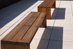 Joel-Eisenberg-Benches-at-the-Whitney-May-2026-Digital-Color-Theme-Shadows-Salon-Award