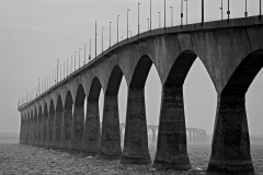 Joel-Eisenberg-Bridge-on-a-Foggy-Day-Sept-2025-Digital-Mono-Open-Salon-2nd-Place