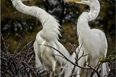 Joel-Eisenberg-Please-Listen-to-Me-Mar-2026-Digital-Color-Open-Salon-Medal