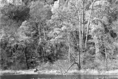 John-Sandstedt-NJFCC-Citation-A-Different-Look-at-Lake-Surprise-Jan-2026-Digital-Mono-Open-Salon-Award