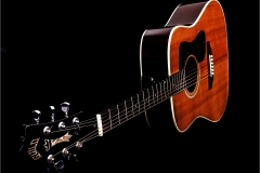 John-Sandstedt-NJFCC-Citation-First-Guitar-Sept-2025-Digital-Color-Open-Salon-Merit