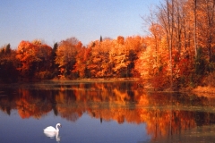 John-Sandstedt-NJFCC-Citation-Golf-Nuisances-Nov-2025-Digital-Color-Reflections-Salon-Award